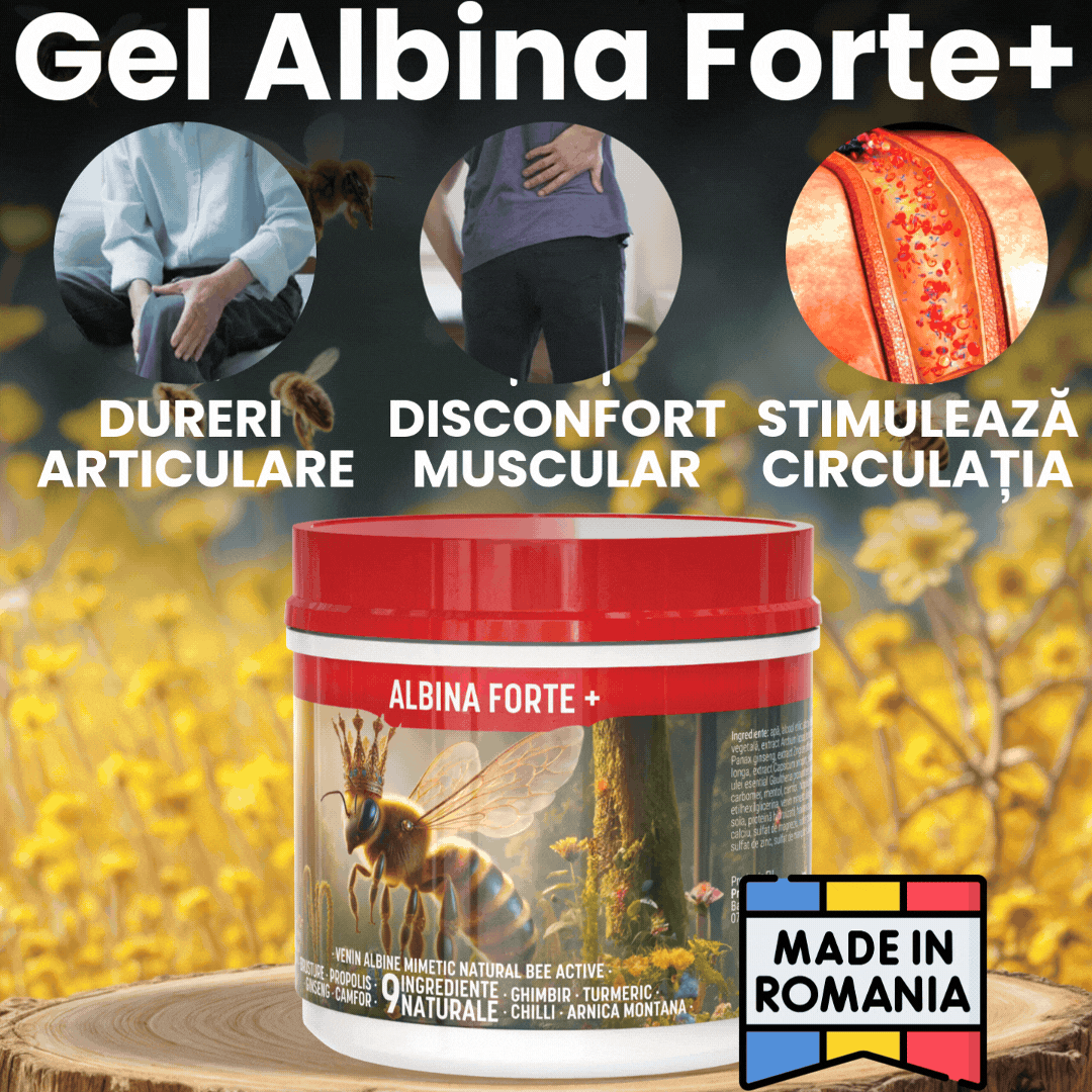 Albina Forte+